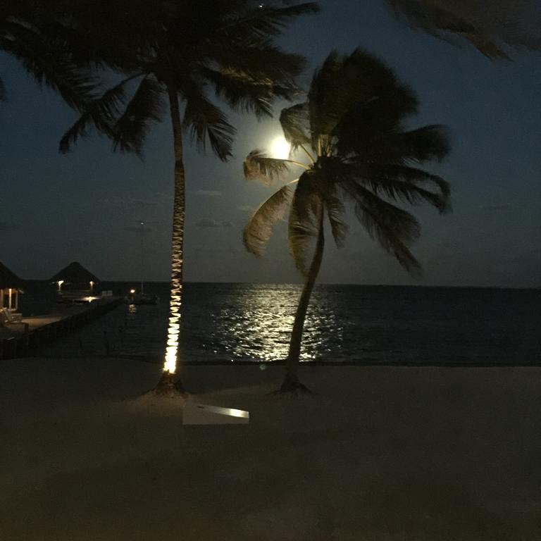 The Palapa House Hotel San Pedro  Exterior photo